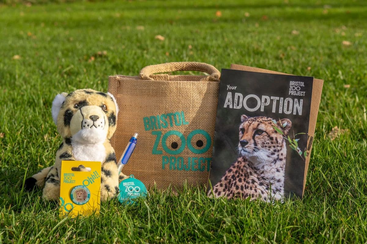 Bristol Zoo Project adoption kit on grass, featuring a cheetah plush, pen, badge, booklet, and burlap bag.