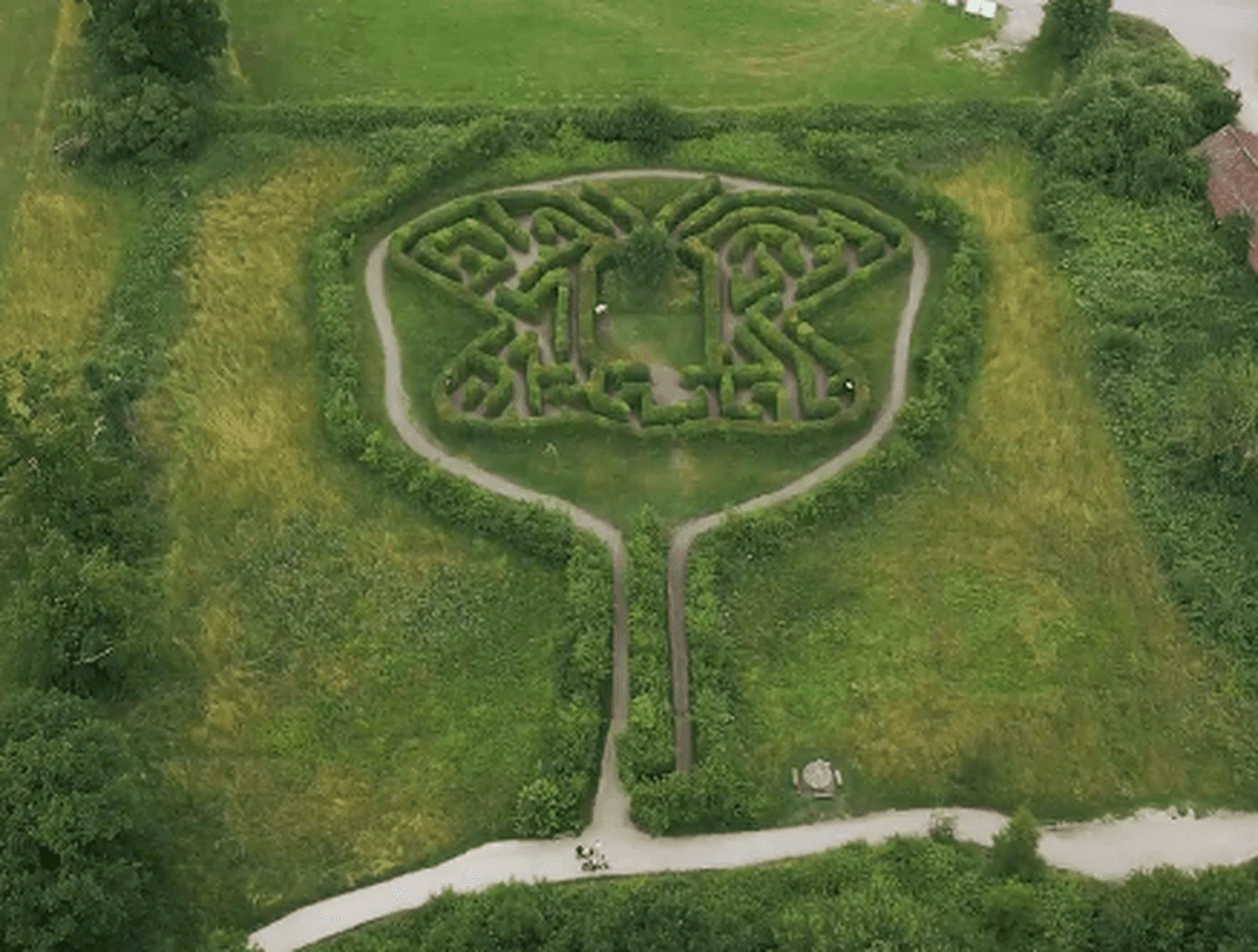 Aerial view of the Butterfly Maze, showing a maze in the shape of a butterfly.