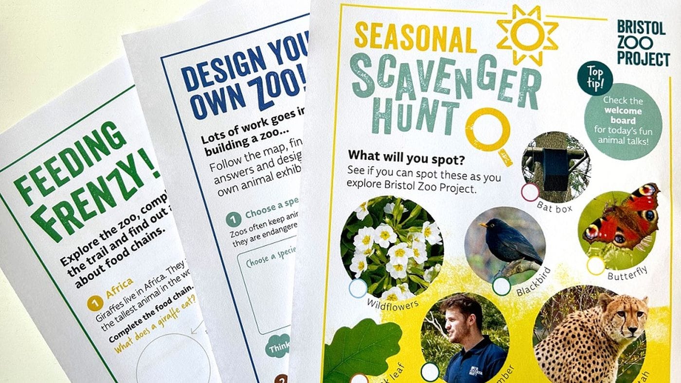 A selection of colourful worksheets for schools